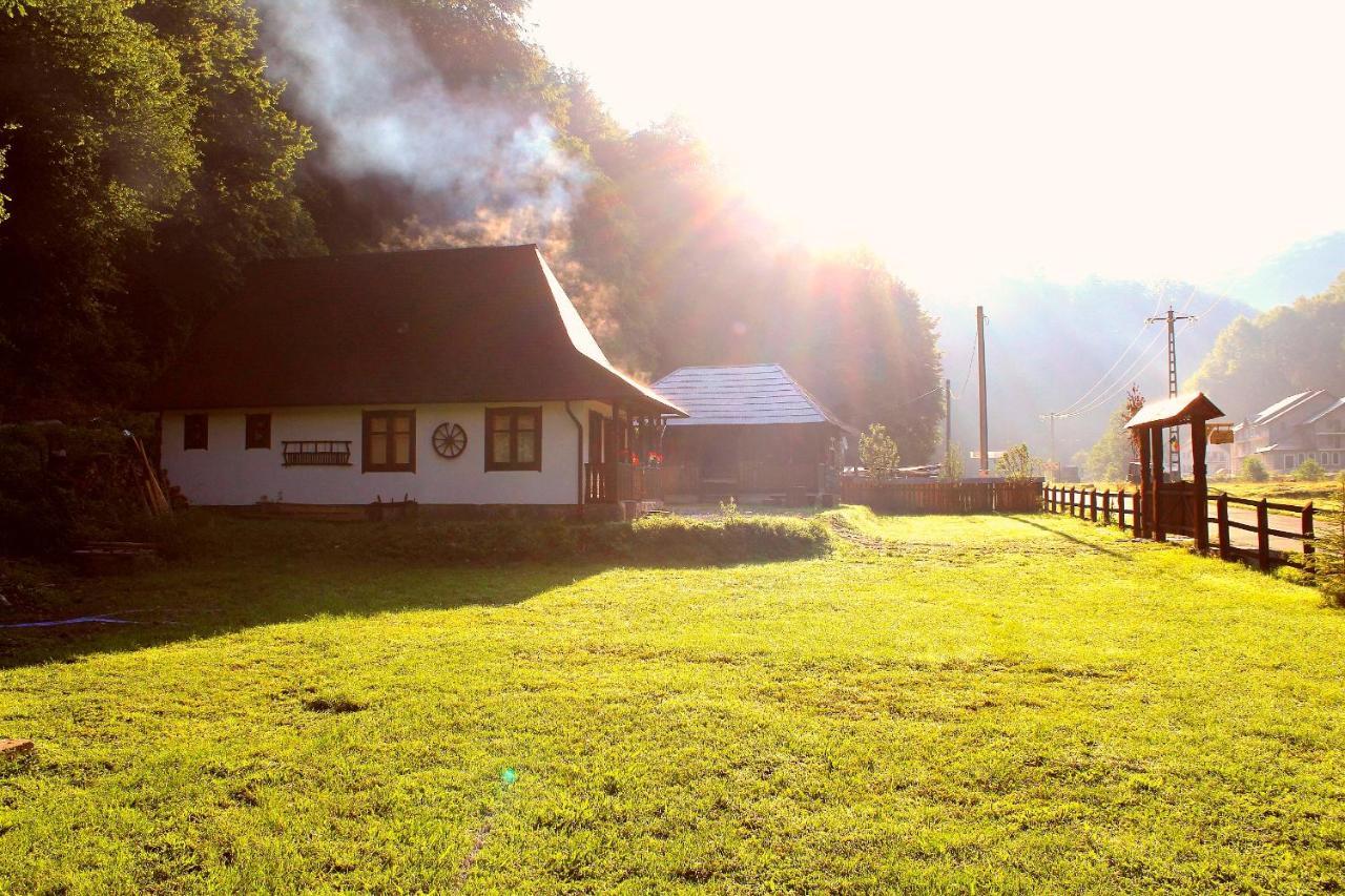 Casuta Din Valea Regilor Villa Gradistea de Munte Екстериор снимка