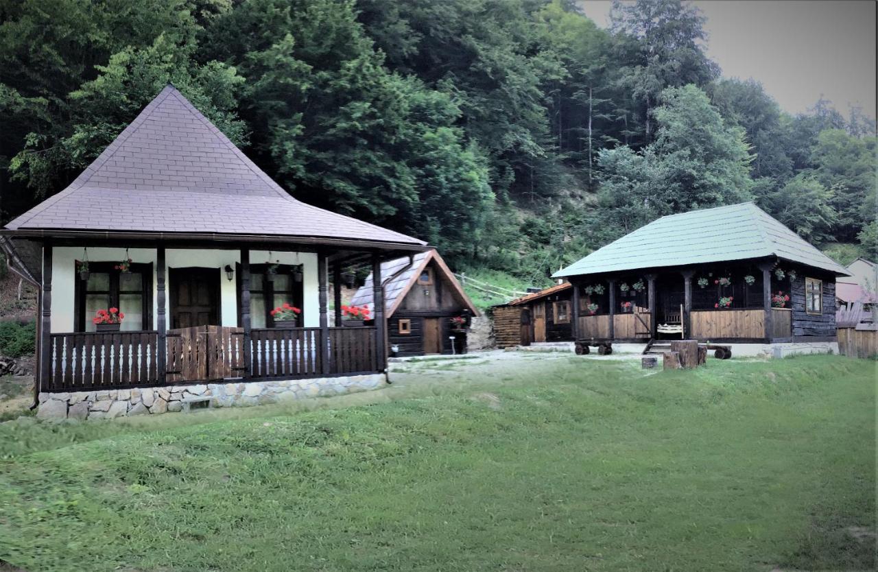 Casuta Din Valea Regilor Villa Gradistea de Munte Екстериор снимка