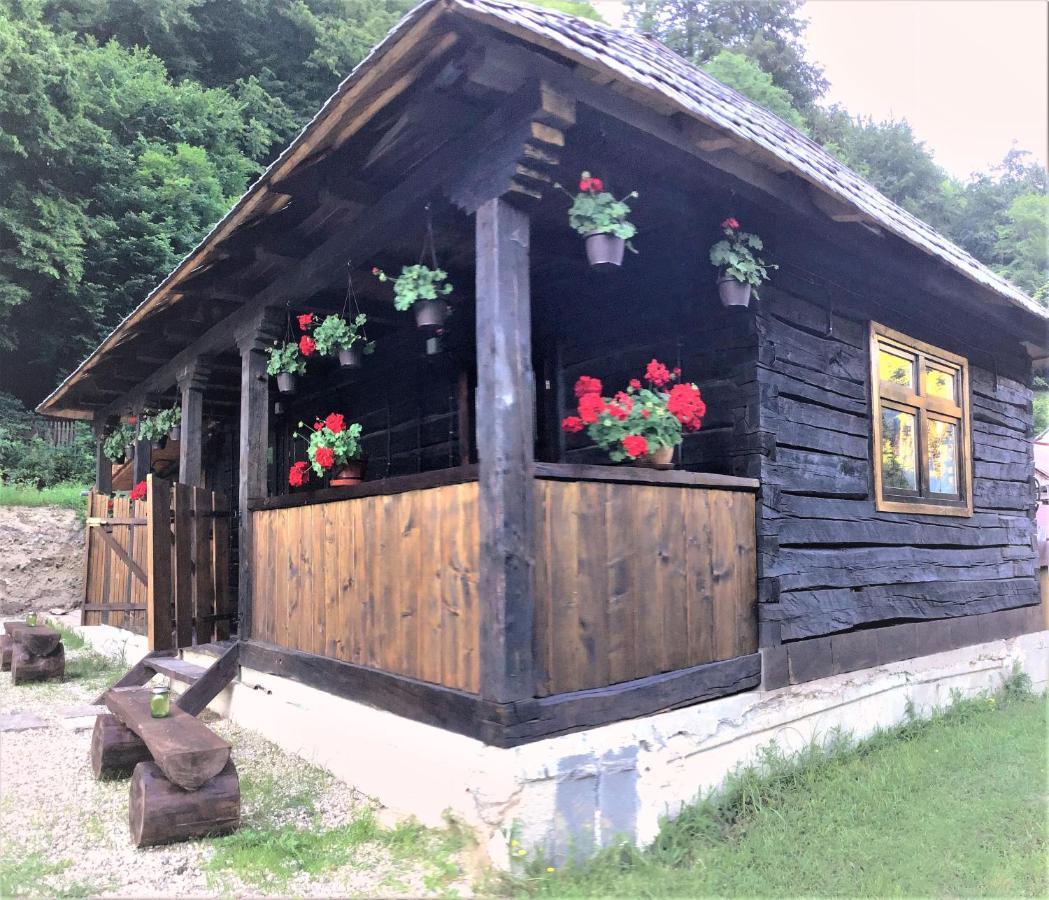 Casuta Din Valea Regilor Villa Gradistea de Munte Екстериор снимка