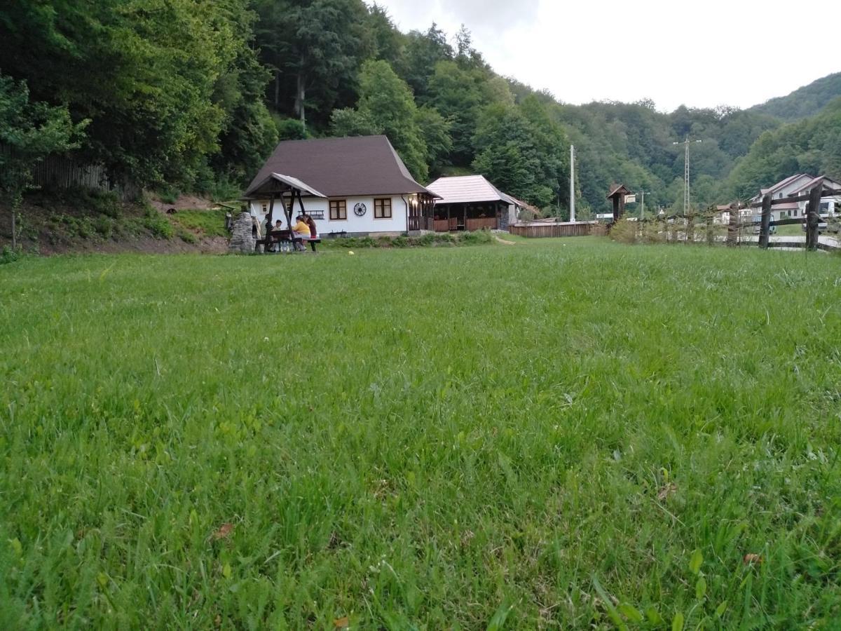 Casuta Din Valea Regilor Villa Gradistea de Munte Екстериор снимка