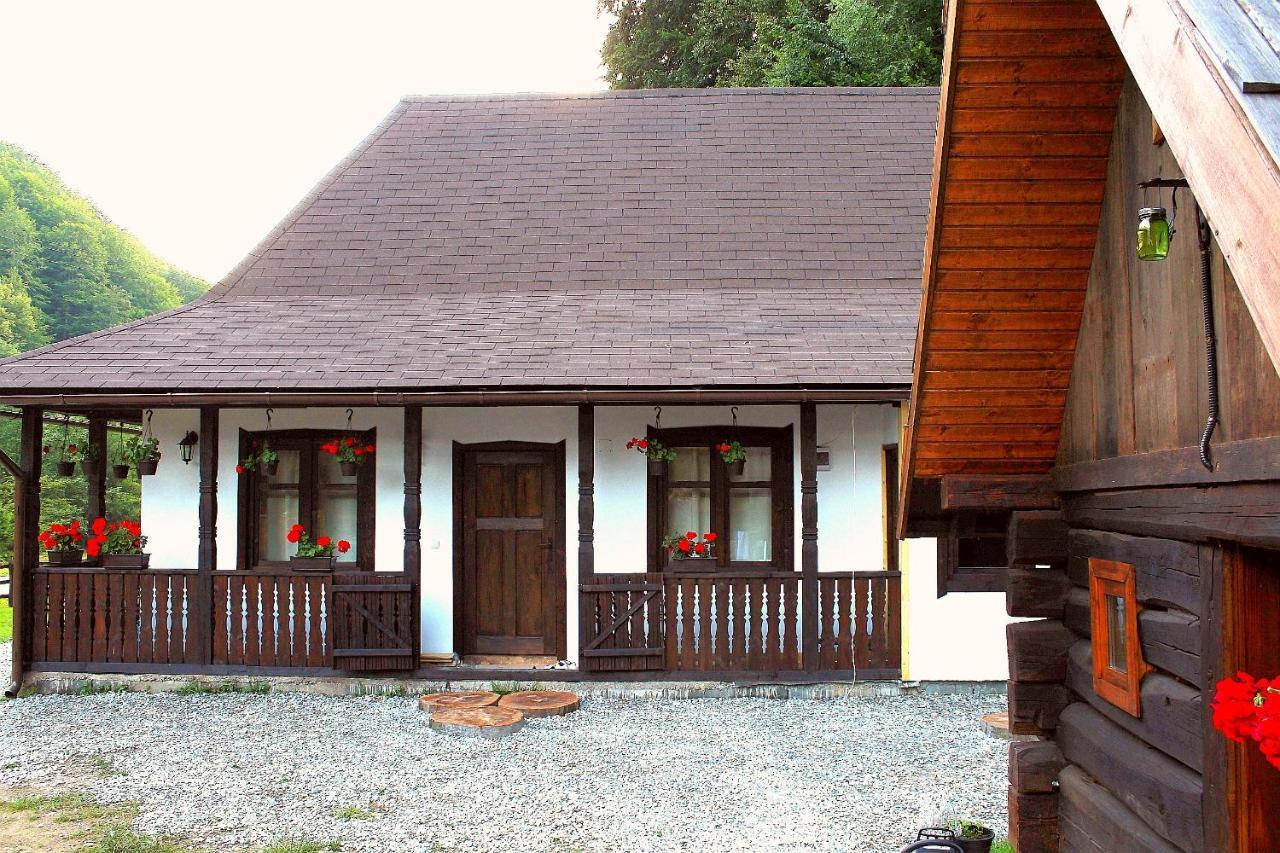 Casuta Din Valea Regilor Villa Gradistea de Munte Екстериор снимка