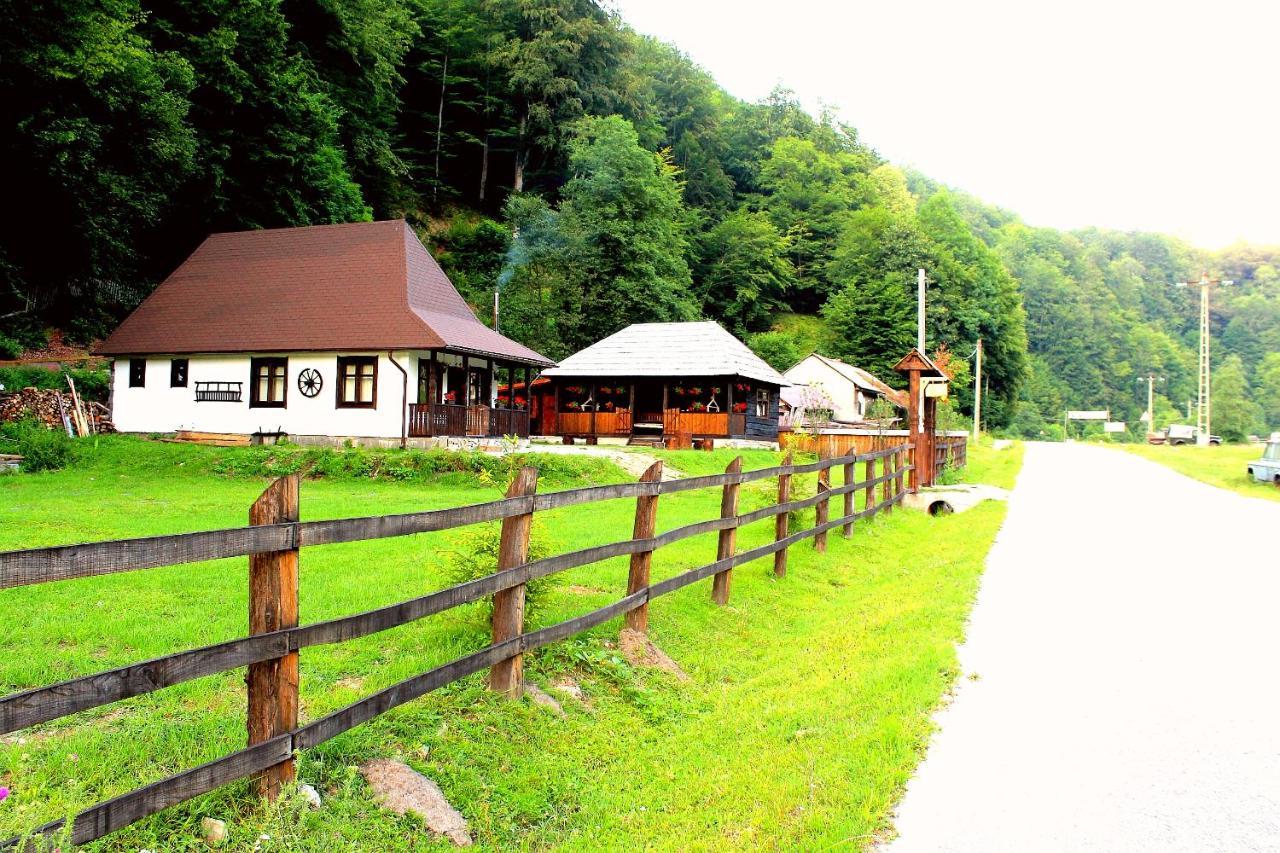 Casuta Din Valea Regilor Villa Gradistea de Munte Екстериор снимка