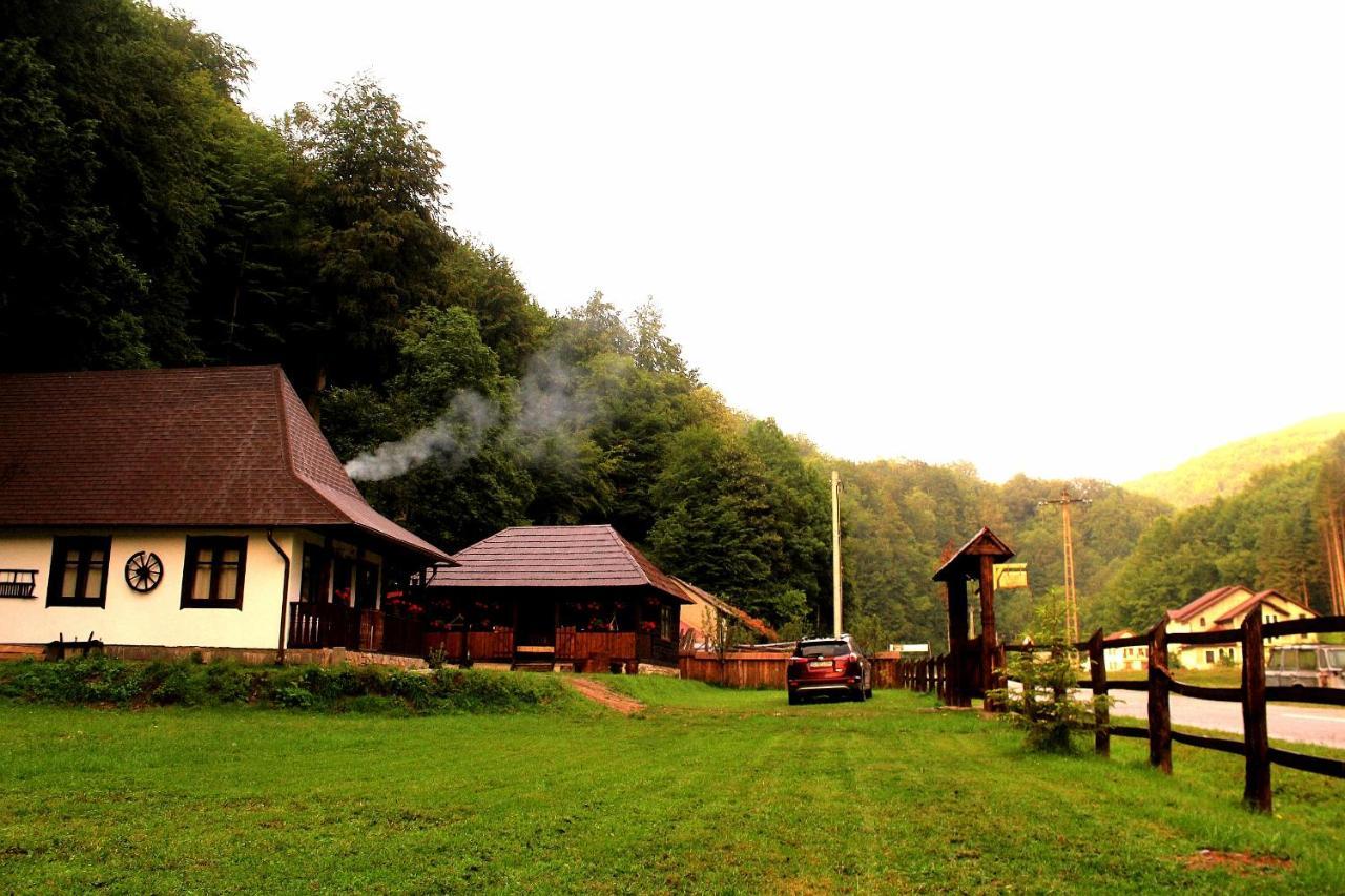 Casuta Din Valea Regilor Villa Gradistea de Munte Екстериор снимка