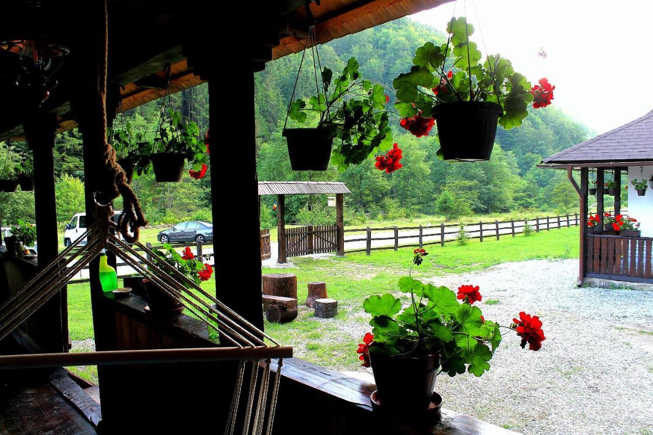 Casuta Din Valea Regilor Villa Gradistea de Munte Екстериор снимка