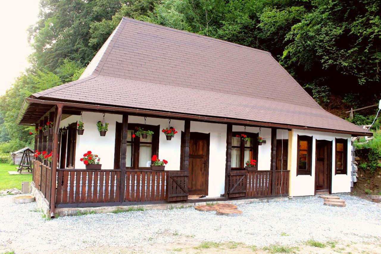 Casuta Din Valea Regilor Villa Gradistea de Munte Екстериор снимка