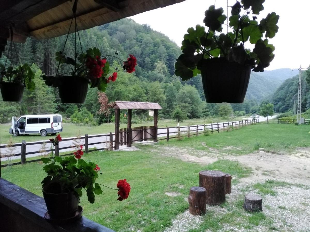 Casuta Din Valea Regilor Villa Gradistea de Munte Екстериор снимка