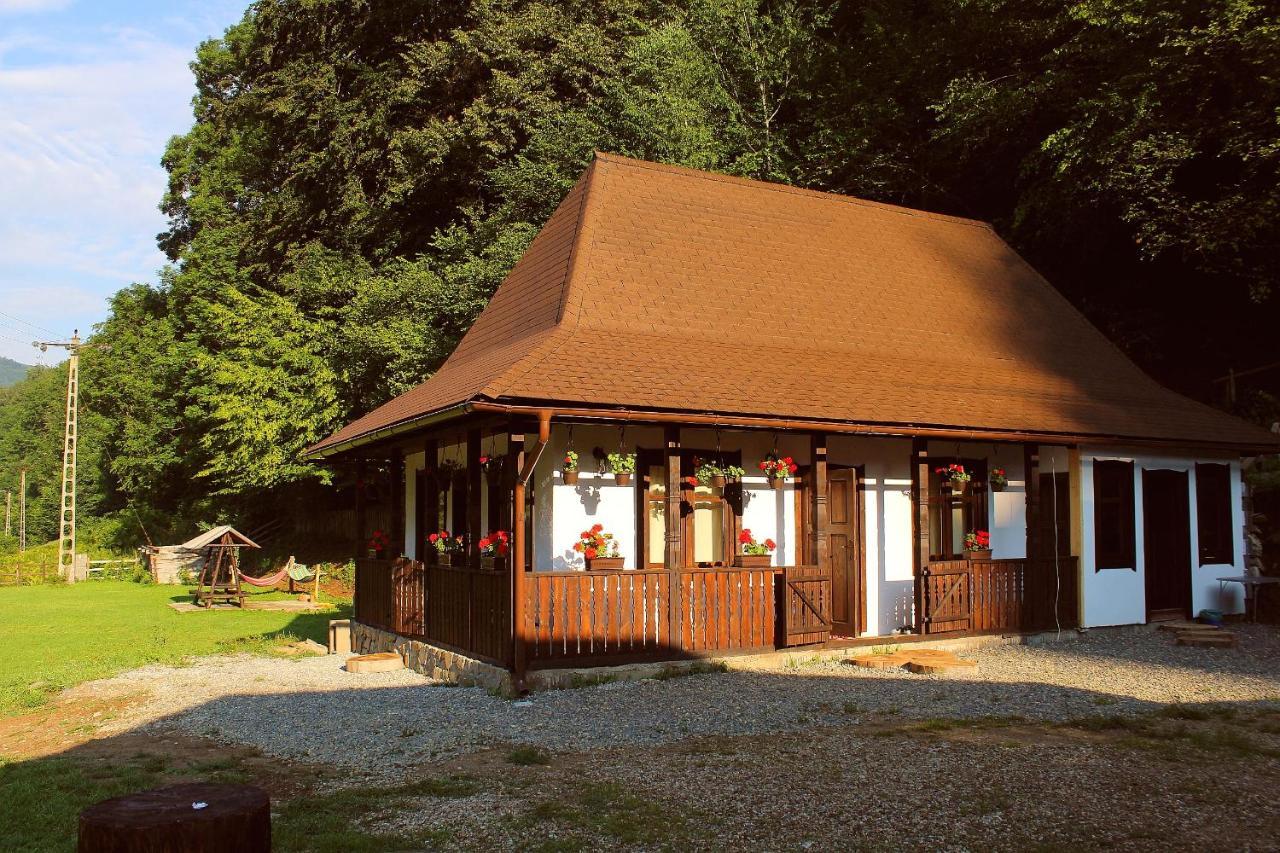 Casuta Din Valea Regilor Villa Gradistea de Munte Екстериор снимка