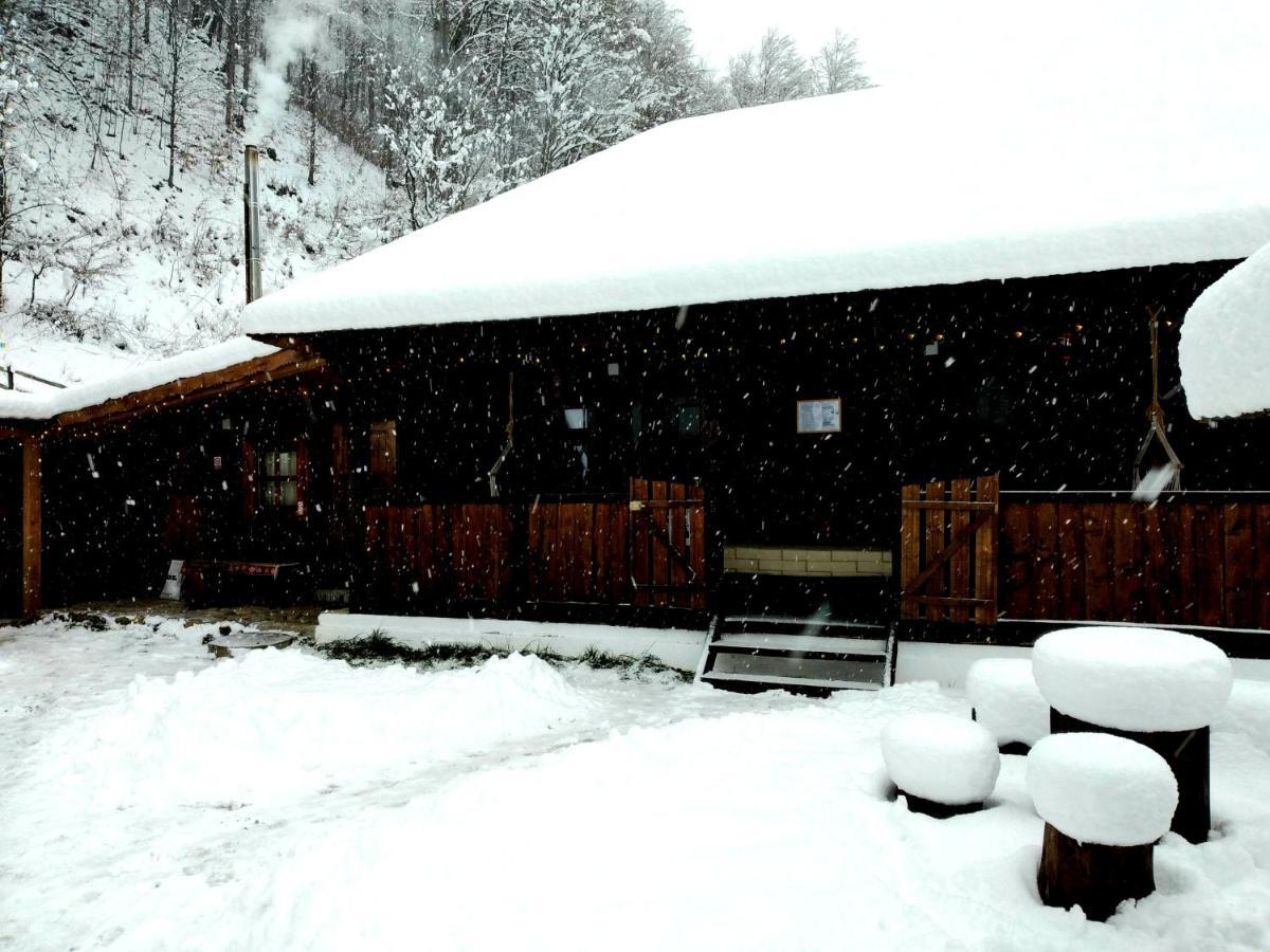Casuta Din Valea Regilor Villa Gradistea de Munte Екстериор снимка