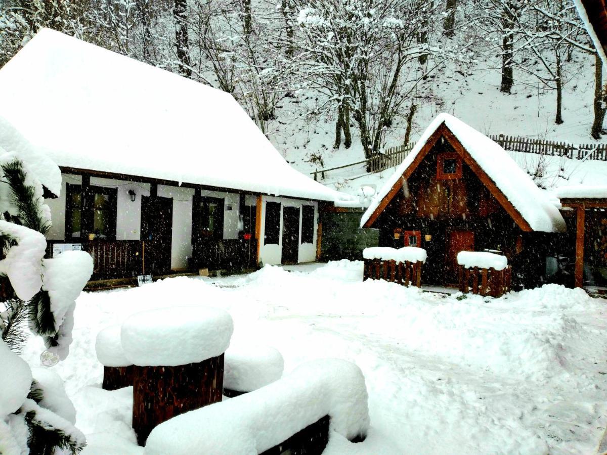 Casuta Din Valea Regilor Villa Gradistea de Munte Екстериор снимка