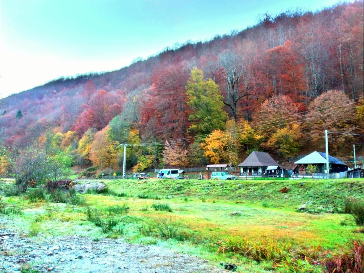 Casuta Din Valea Regilor Villa Gradistea de Munte Екстериор снимка
