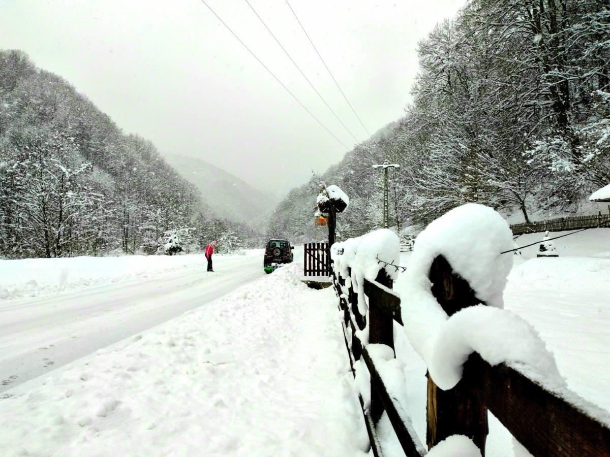 Casuta Din Valea Regilor Villa Gradistea de Munte Екстериор снимка