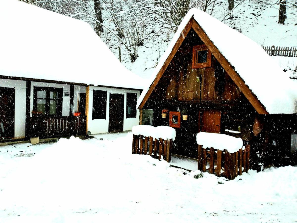 Casuta Din Valea Regilor Villa Gradistea de Munte Екстериор снимка