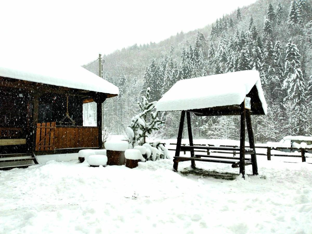 Casuta Din Valea Regilor Villa Gradistea de Munte Екстериор снимка