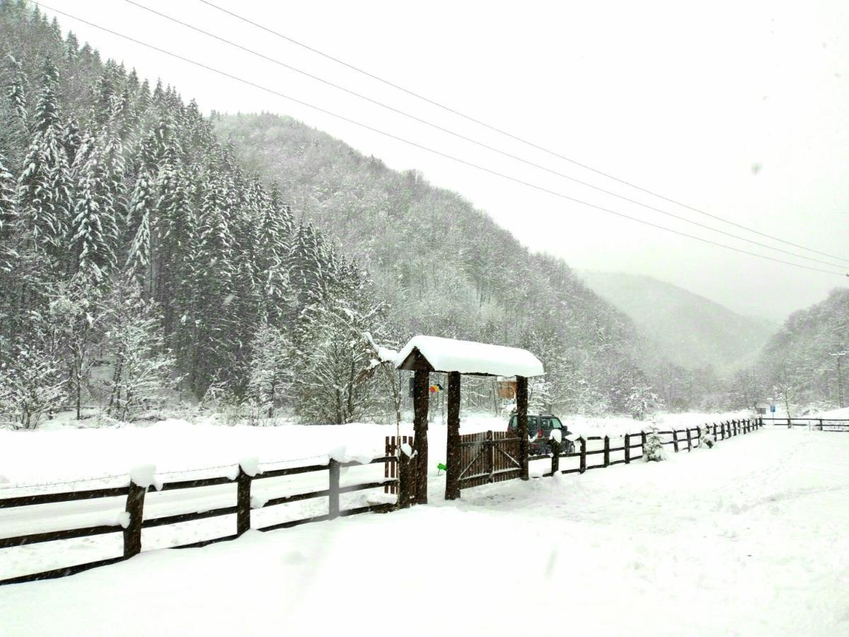 Casuta Din Valea Regilor Villa Gradistea de Munte Екстериор снимка