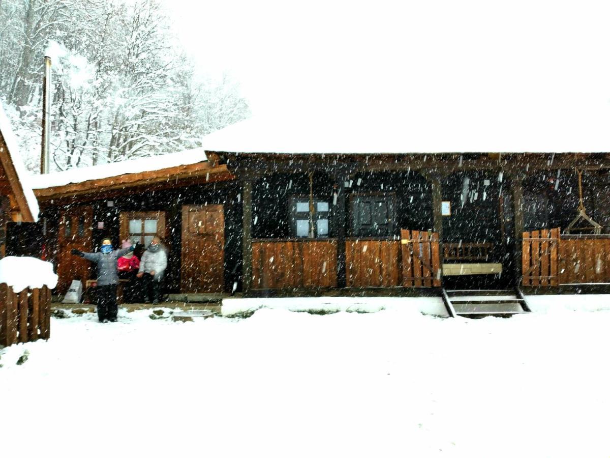 Casuta Din Valea Regilor Villa Gradistea de Munte Екстериор снимка