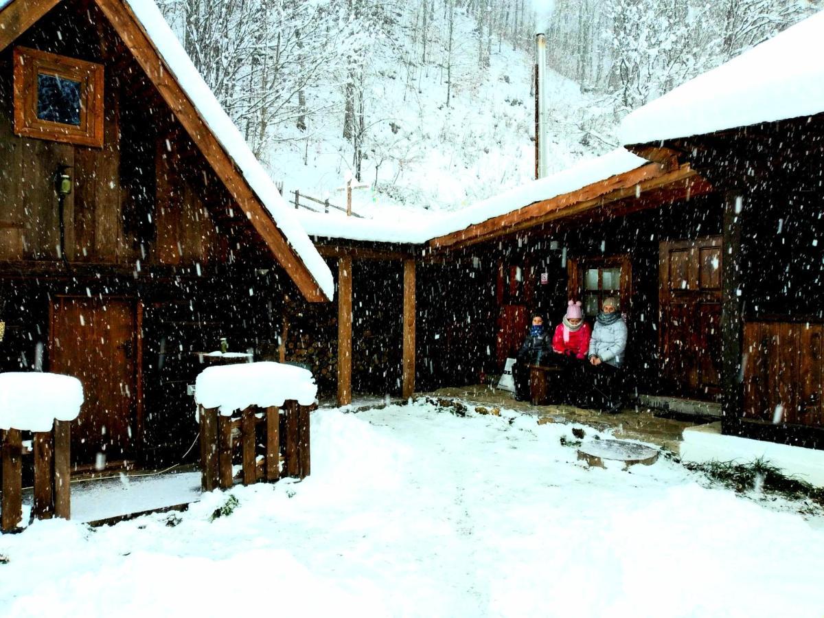 Casuta Din Valea Regilor Villa Gradistea de Munte Екстериор снимка